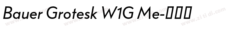 Bauer Grotesk W1G Me字体转换